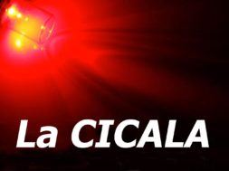 Parole del cinema: la Cicala