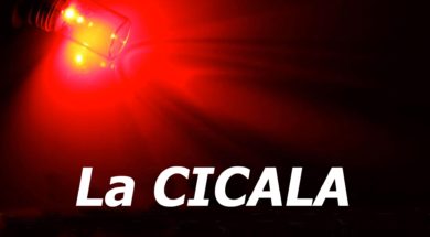 Parole del cinema: la Cicala