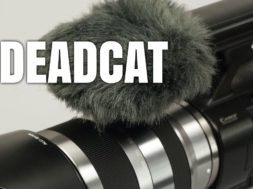 Termini cinematografici: Deadcat