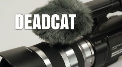 Termini cinematografici: Deadcat